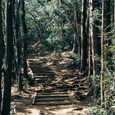 腾讯御龙传奇官方下载